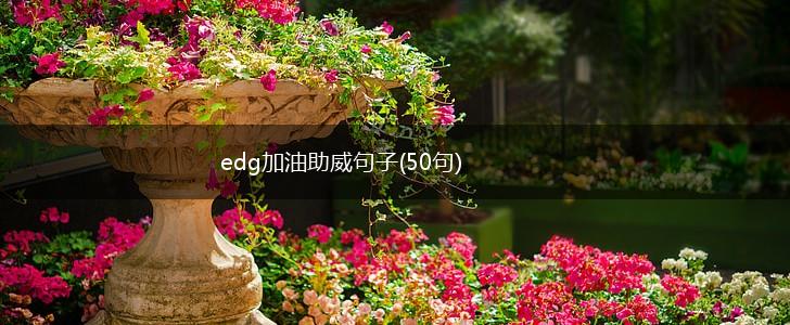 edg加油助威句子(50句),第1张