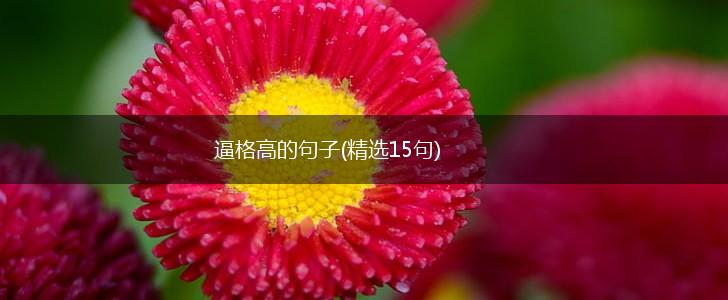 逼格高的句子(精选15句),第1张