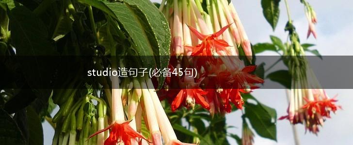 studio造句子(必备45句),第1张