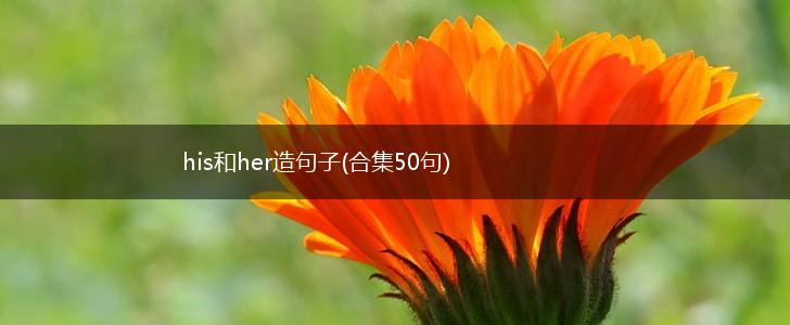his和her造句子(合集50句),第1张