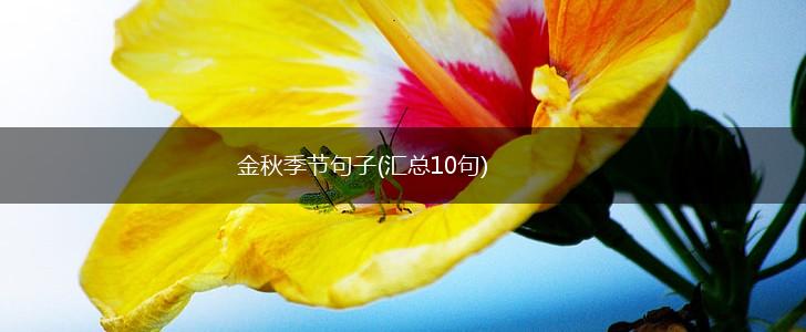 金秋季节句子(汇总10句),第1张