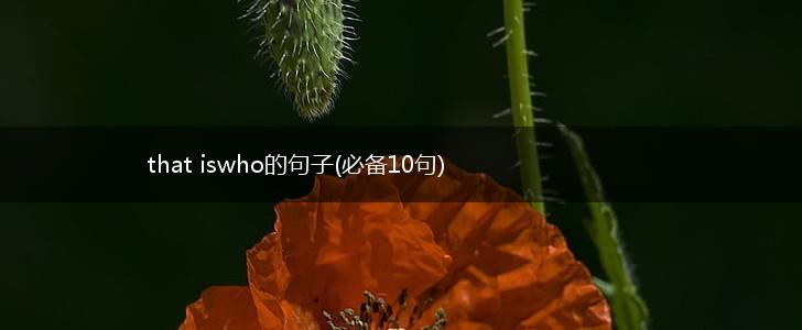 that iswho的句子(必备10句),第1张