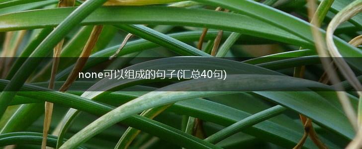 none可以组成的句子(汇总40句),第1张