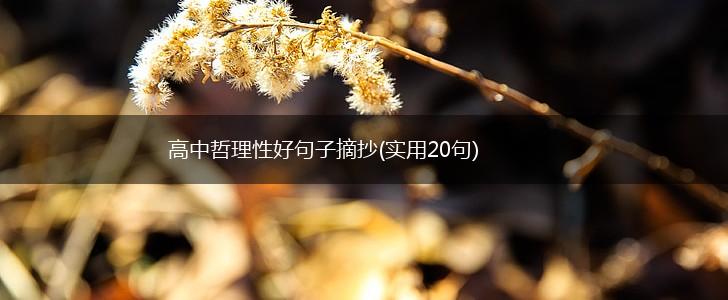 高中哲理性好句子摘抄(实用20句),第1张