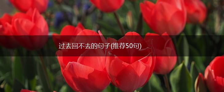 过去回不去的句子(推荐50句),第1张