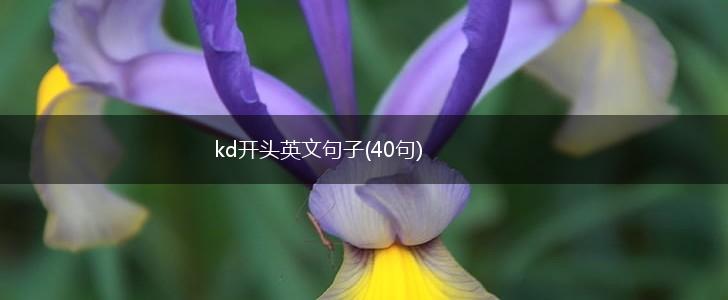 kd开头英文句子(40句),第1张