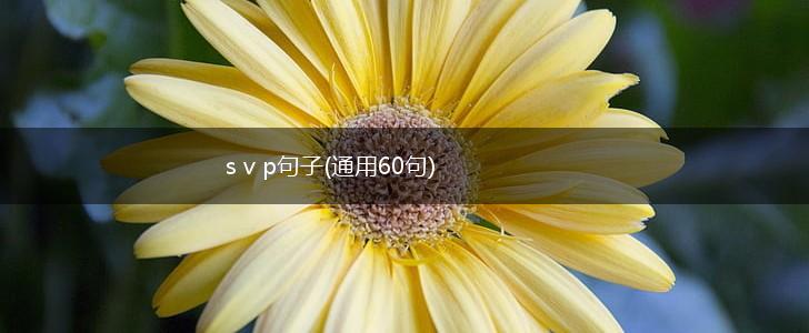 s v p句子(通用60句),第1张