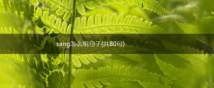 sang怎么组句子(共80句),第1张
