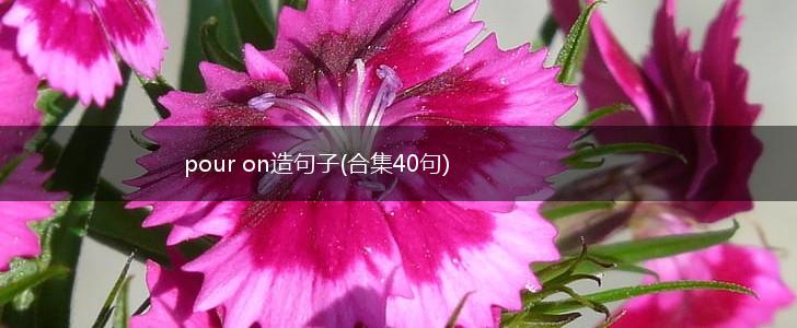 pour on造句子(合集40句),第1张