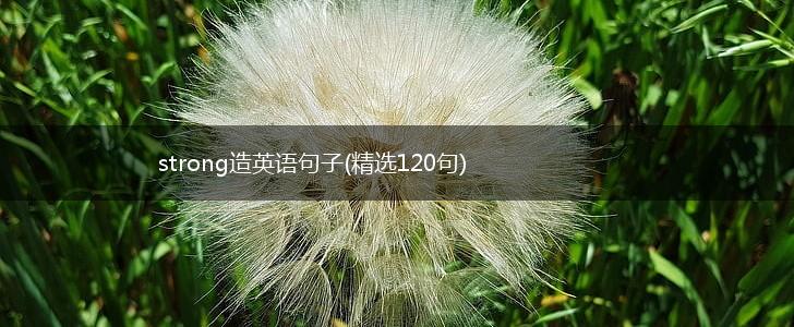 strong造英语句子(精选120句),第1张