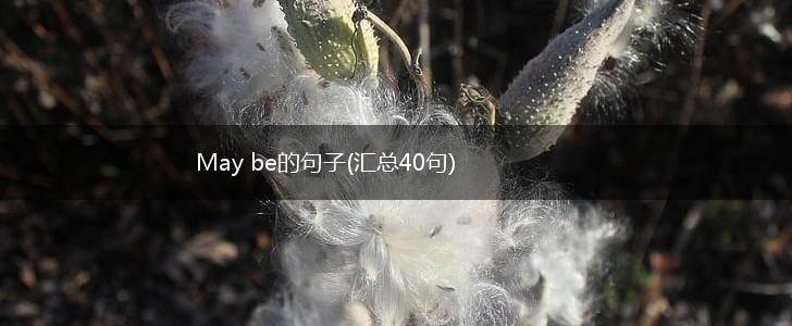 May be的句子(汇总40句),第1张