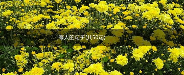 j夸人的句子(共50句),第1张
