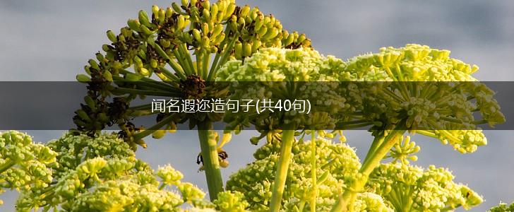 闻名遐迩造句子(共40句),第1张