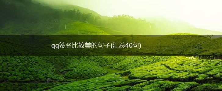 qq签名比较美的句子(汇总40句),第1张
