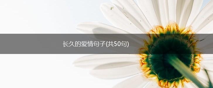 长久的爱情句子(共50句),第1张
