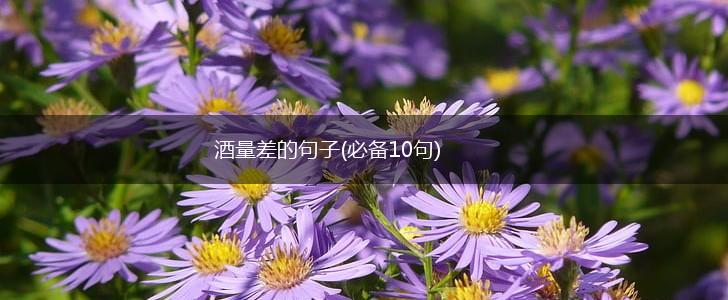 酒量差的句子(必备10句),第1张