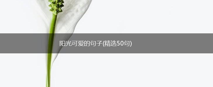 阳光可爱的句子(精选50句),第1张