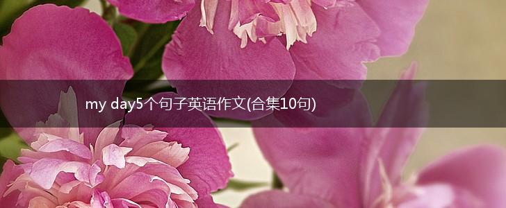 my day5个句子英语作文(合集10句),第1张