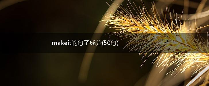 makeit的句子成分(50句),第1张