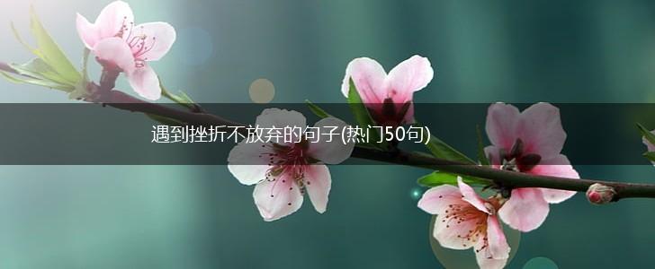 遇到挫折不放弃的句子(热门50句),第1张