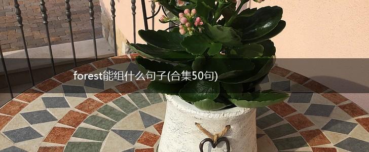 forest能组什么句子(合集50句),第1张