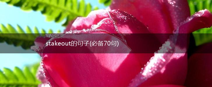 stakeout的句子(必备70句),第1张