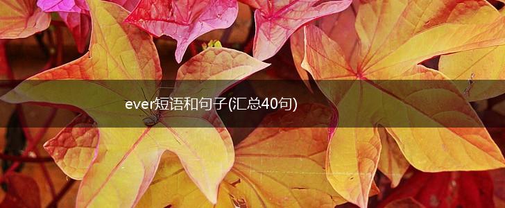 ever短语和句子(汇总40句),第1张