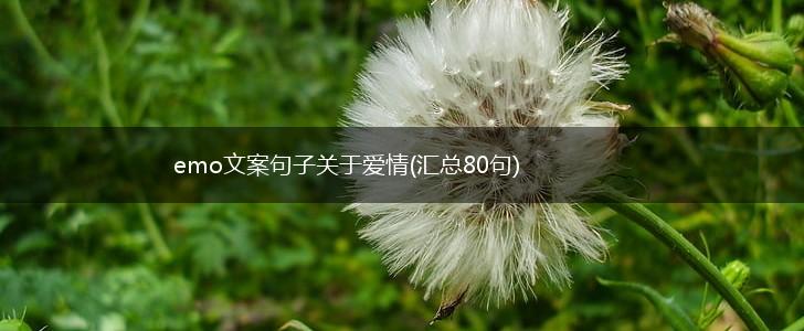 emo文案句子关于爱情(汇总80句),第1张