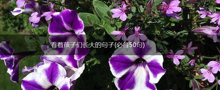 看着孩子们长大的句子(必备50句),第1张