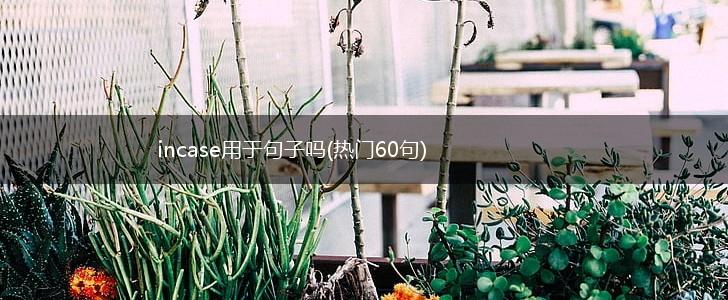incase用于句子吗(热门60句),第1张