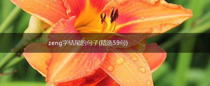 zeng字结尾的句子(精选59句),第1张