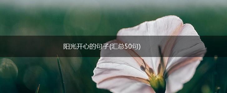 阳光开心的句子(汇总50句),第1张