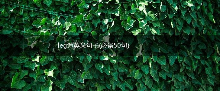 leg造英文句子(必备50句),第1张