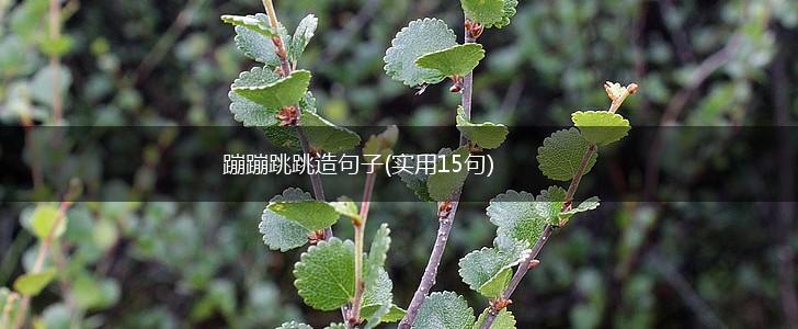 蹦蹦跳跳造句子(实用15句),第1张