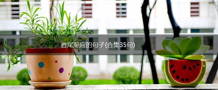 首尾照应的句子(合集35句),第1张
