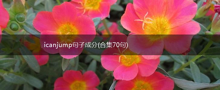 icanjump句子成分(合集70句),第1张