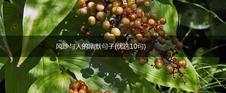 风沙与人的幽默句子(优选10句),第1张