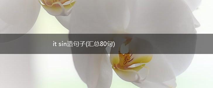 it sin造句子(汇总80句),第1张