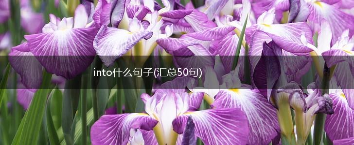 into什么句子(汇总50句),第1张
