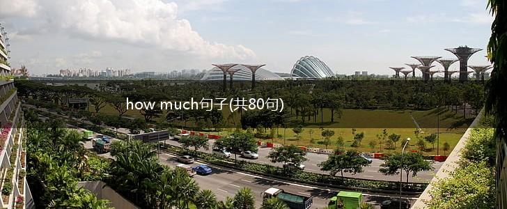 how much句子(共80句),第1张