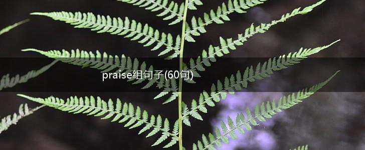 praise组句子(60句),第1张