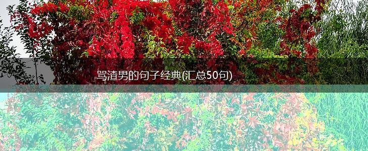 骂渣男的句子经典(汇总50句),第1张