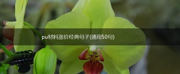 pu材料涨价经典句子(通用50句),第1张