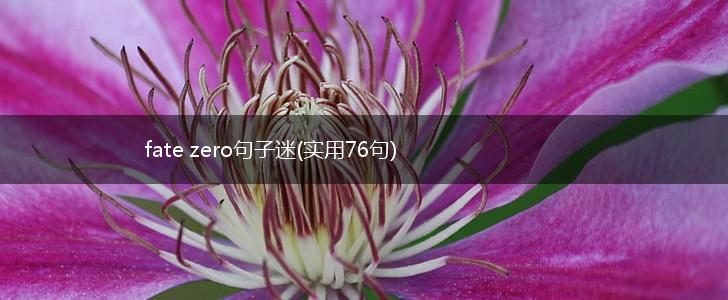 fate zero句子迷(实用76句),第1张