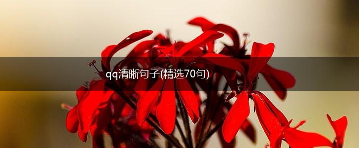 qq清晰句子(精选70句),第1张