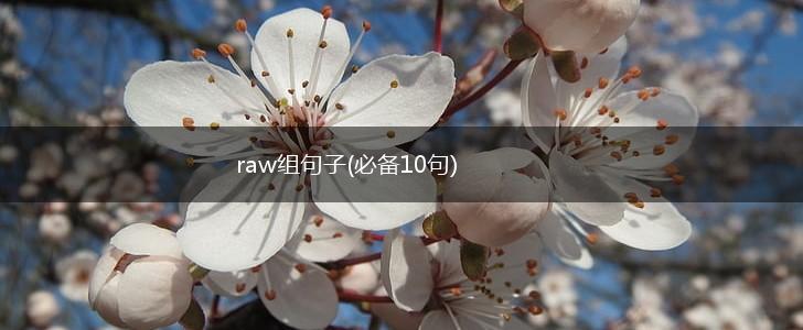 raw组句子(必备10句),第1张