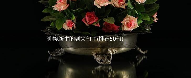 迎接新生的到来句子(推荐50句),第1张