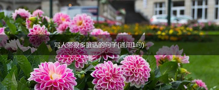 骂人带很多脏话的句子(通用1句),第1张