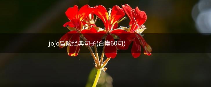 jojo冒险经典句子(合集60句),第1张