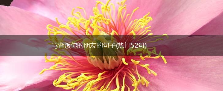 骂背叛你的朋友的句子(热门52句),第1张